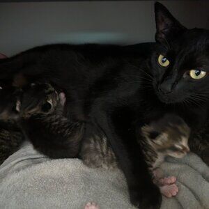 Meet your Posher, Ashley